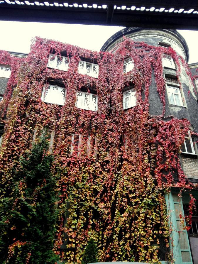 Bristol Economy Bed and Breakfast Bytom Eksteriør billede